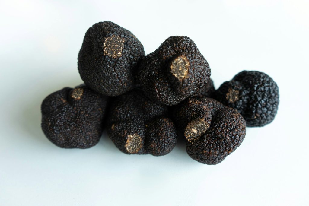 La truffe noire du Tricastin