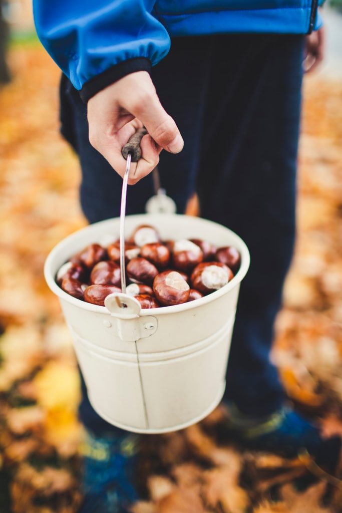 la crème de marrons ardéchoise