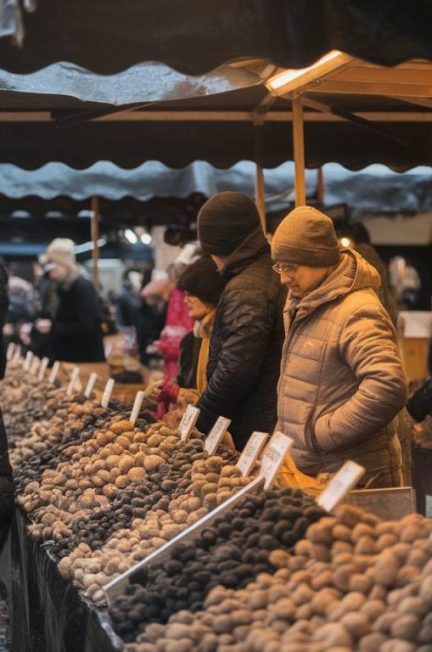 Le chêne truffier : l’arbre indispensable à la production de truffes